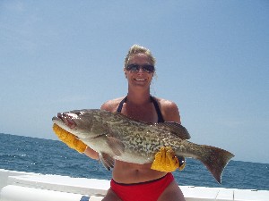North Carolina Offshore Fishing
