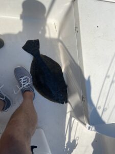 Cape Fear Guide - Big Flounder